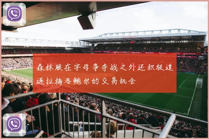 森林狼在字母争夺战之外还积极追逐拉梅洛鲍尔的交易机会