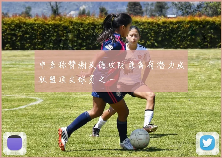申京称赞谢泼德攻防兼备有潜力成联盟顶尖球员之一