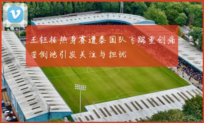 王钰栋热身赛遭泰国队飞踹重创痛苦倒地引发关注与担忧