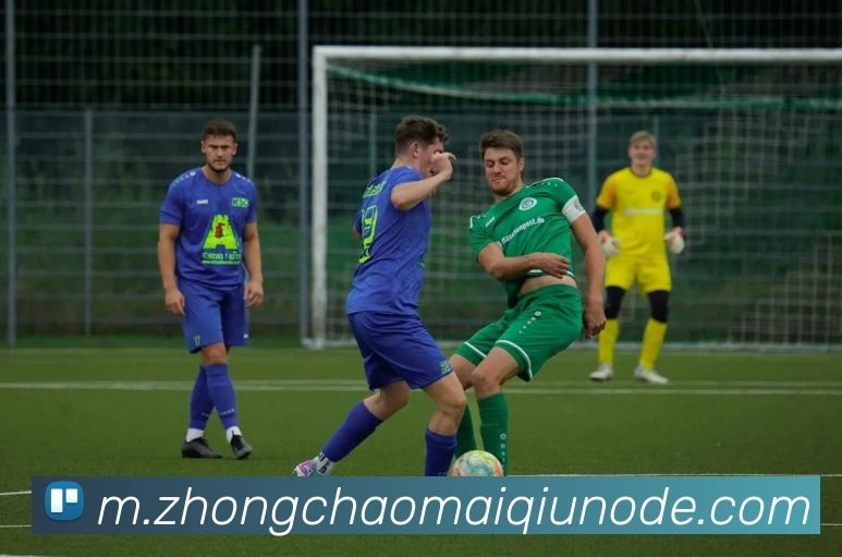 App Interface Preview