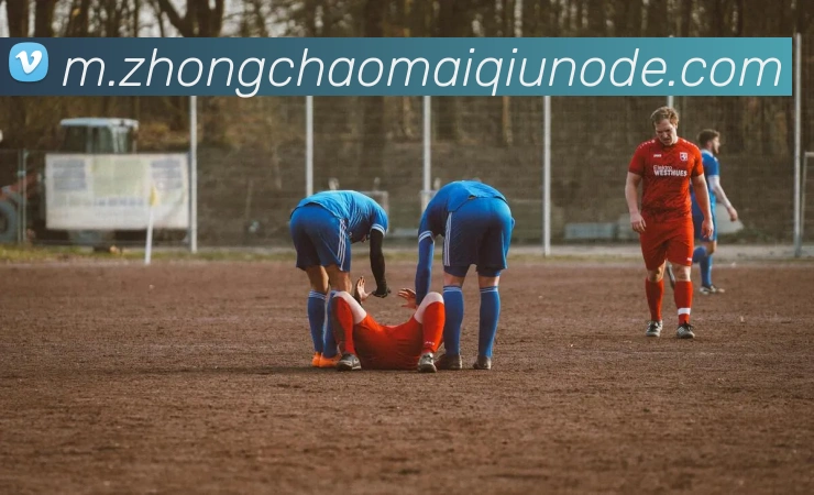 中超买球APP 封面图